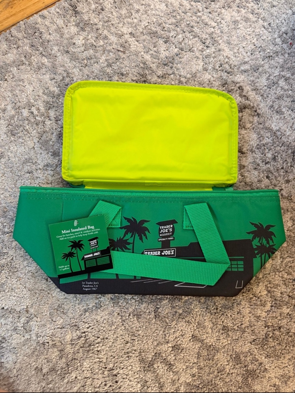 Trader Joes Viral Insulated Mini Cooler Bag green